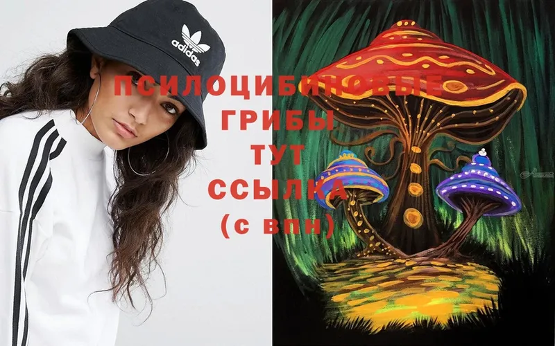 Галлюциногенные грибы Cubensis  это официальный сайт  Уржум 